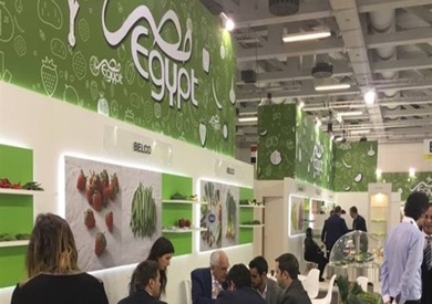هيئة تنمية الصادرات